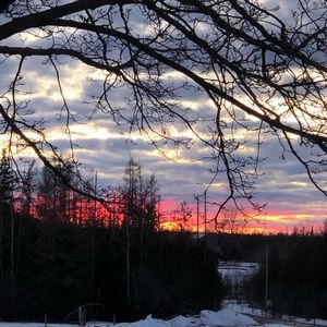 Meet your Posher, Lea